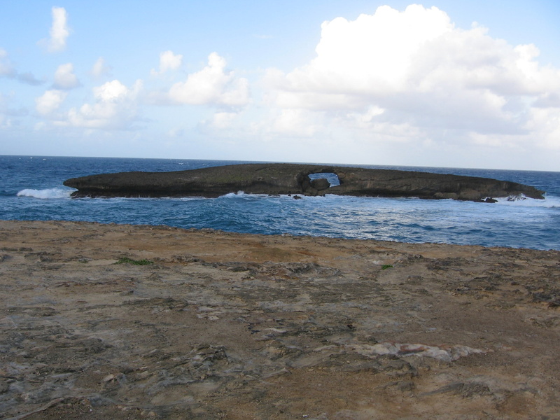 Hawaii, park, rock, Beach Park, hd, Diving, bay, art, maunalua, nature, popular, oceans, beach, O Ahu, lobsters, 1080P, ISLAND