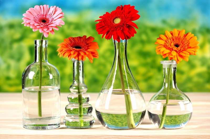 backgrounds, multi Colored, beauty in nature, liquid, no People, vase, daisy, fragility, freshness, inflorescence, flowers, yellow, bright, science, petal