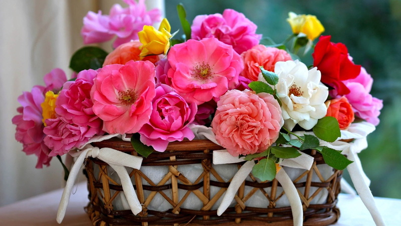 elegance, decor, celebration, freshness, gift, love, decoration, bouquet, flower arrangement, white, summer, wood - Material, 1080P, wedding, outdoors