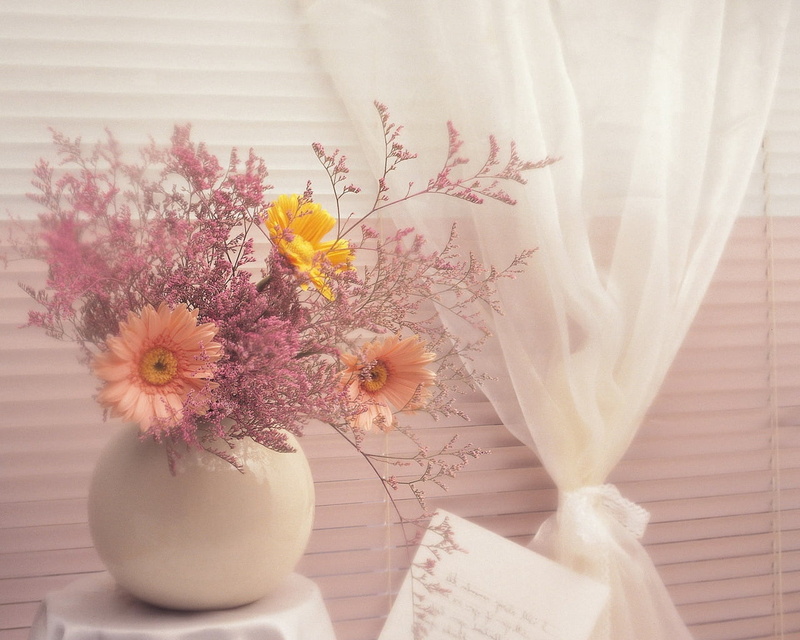 curtain, indoors, fragility, nature, pink, love, decor, vulnerability, blinds, white, domestic Room, flower, bunch of flowers, bouquet, arrangement, elegance