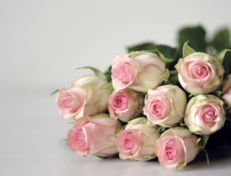 buds, rose - Flower, valentines Day - Holiday, pink, gift, fragility, arrangement, leaf, flower arrangement, no People, beauty, freshness, pink Color, bunch of flowers