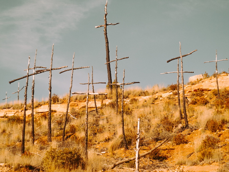 arid climate, stick, tranquility, landscape, non-urban scene, climate, scenics - nature, day, no people, environment, cross, dead plant, field, nature