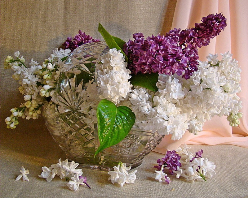 bouquet, pink Color, gift, spring, fragility, table, blossom, flower arrangement, freshness, petal, springtime, white, flower, vulnerability, elegance