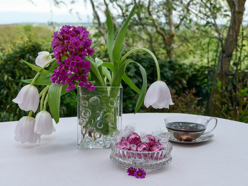 table, beauty in nature, near, lifestyle relaxation, day, bergenia, plant, tea time, garden, sweet food, no people, container, sweetness, benefit from