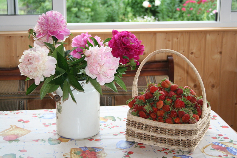 food and drink, Flowers, dacha, summer, no People, beauty in nature, day, Still Life, plant, composition, strawberry, vase, flower head, flowering plant