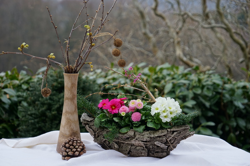 primrose pink, plant, primrose white, day, flower, plant part, growth, beauty in nature, bellis pink, white, flowers, nature, garden, 5K, freshness, branches
