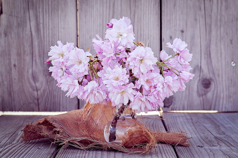 vase, bloom, spring, flowering plant, boundary, flowers, nature, cherry blossom branches, flower, wood - Material, surface, fence, outdoors, inflorescence