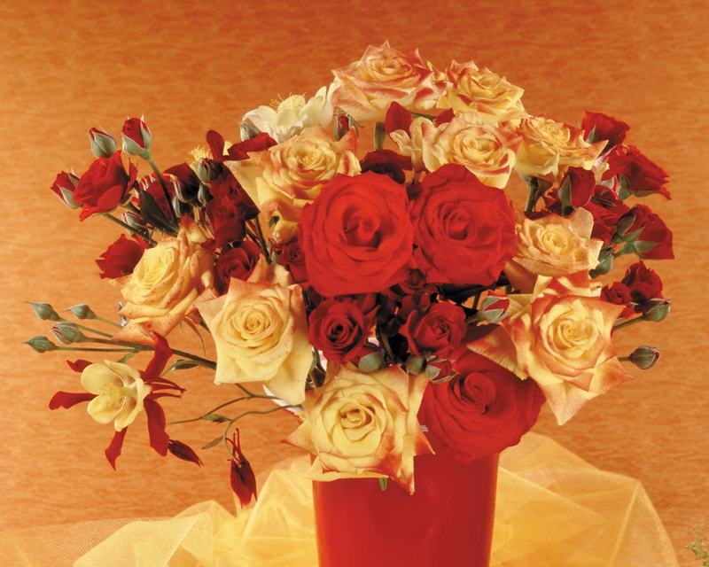 blossom, leaf, roses, indoors, close-up, celebration, wedding, rose - Flower, shrub, greeting, decoration, nature, floral pattern, red, arrangement, beauty In Nature