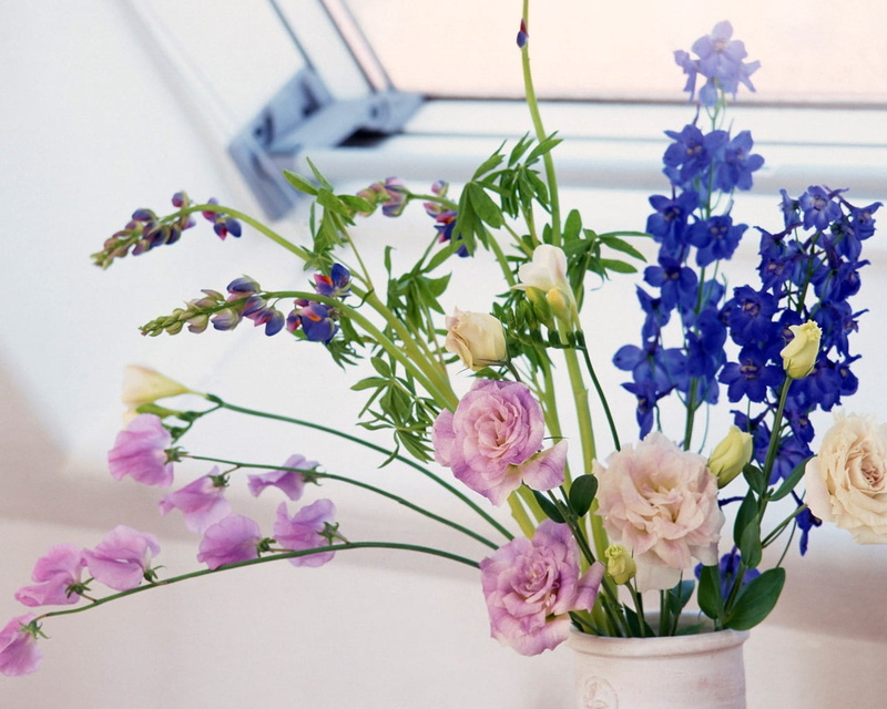 springtime, different, 720P, arrangement, centerpiece, backgrounds, softness, decoration, flowering plant, color, flowers, fragility, flower Head, petaled