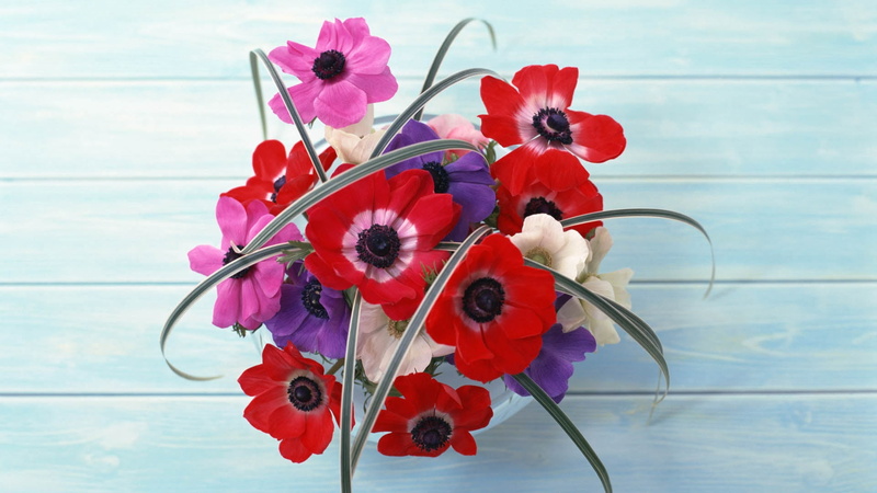 purple, vase, 1080P, centerpiece, freshness, red, still life, backgrounds, beauty In Nature, flowering plant, ornate, romance, fragility, bouquet, plant
