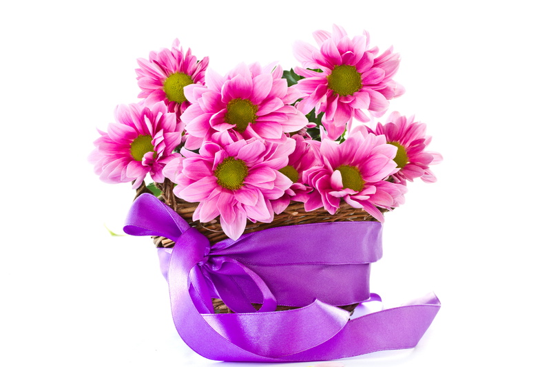 decoration, romance, beauty In Nature, flower pot, softness, multi Colored, bouquet, inflorescence, white Background, flower Head, white, pink Color, red