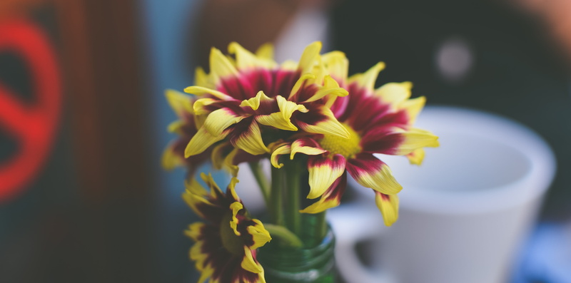 cup, yellow, pink Color, freshness, bunch of flowers, petal, decoration, botany, selective focus, table, no People, flowers, centerpiece, close-up, inflorescence