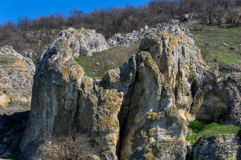 green, rock, scenics - nature, tranquil scene, formation, 4K, nature, day, forest, herbs, fairy tale, the atmosphere, travel destinations, flowers, stone