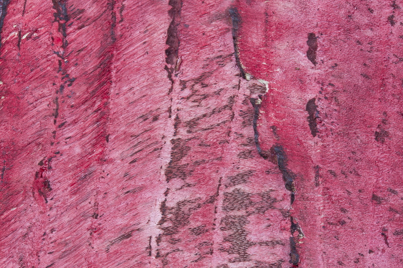 textured, red, painting, structure, built structure, texture, bark, pattern, pink and black, pink color, grain, run-down, fund, close-up, abstract painting