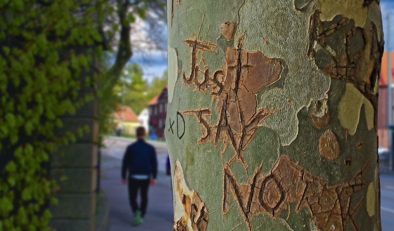 town, day, etched, man, real people, close-up, clothes, wood - material, plant bark, just say no, engraved, tree trunk, focus on foreground, pattern, people