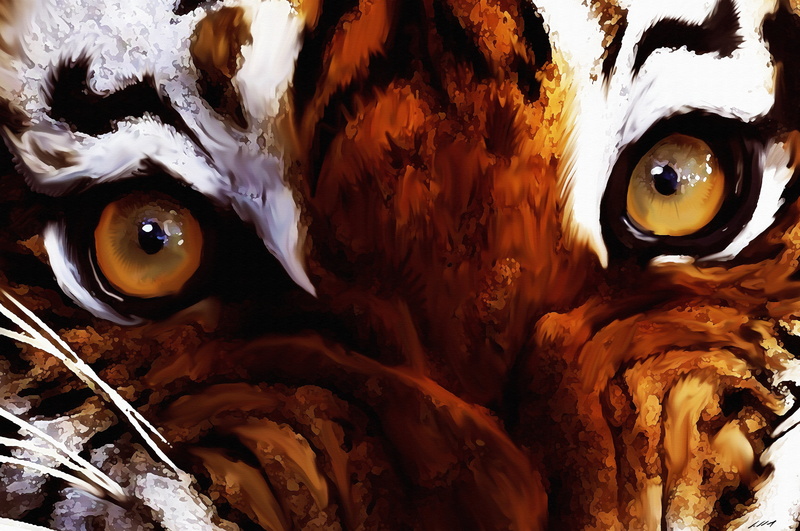 backgrounds, abstract, Tigers eyes, animal body part, art, ochi, indoors, orange color, art and craft, representation, 5K, skin, full frame, vertebrate