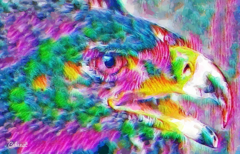 full frame, paint, vibrant color, pasare, by cehenot, colorful, close-up, yellow, abstract, cehenot, blue, Eagle, design, painting, indoors, pictura, 1080P
