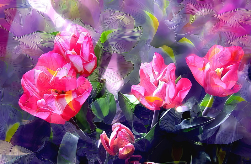 full frame, day, flower, spring, lalele, fragility, purple, flowering plant, Tulips, luminos, petal, freshness, beauty in nature, pictura, bouquet, flower arrangement