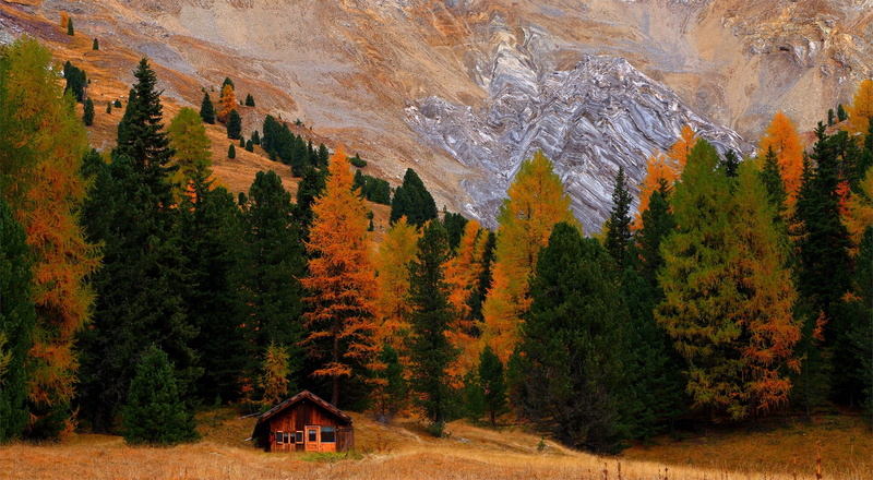 hut, fall, trees, 1080P