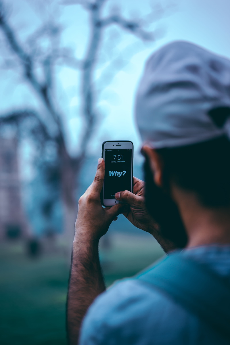 tree, portable information device, connection, one person, man, using, photographing, photography themes, question, hand holding, new delhi, clock, india