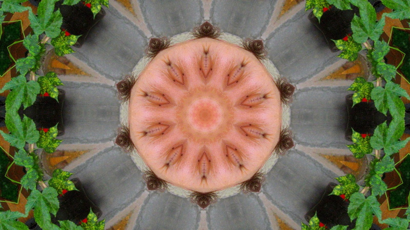 stas, 1080P
