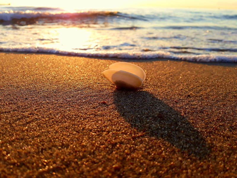 darss, scenics - nature, nature, sky, evening sun, outdoors, baltic sea, surface level, sport, tranquil scene, 2K, land, baltic sea beach, darß, panorama