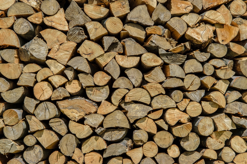 bronze, material, pattern, the industry, log, forest, wooden, stack, no people, the background, wall, chopped, beech, lumber industry, large group of objects