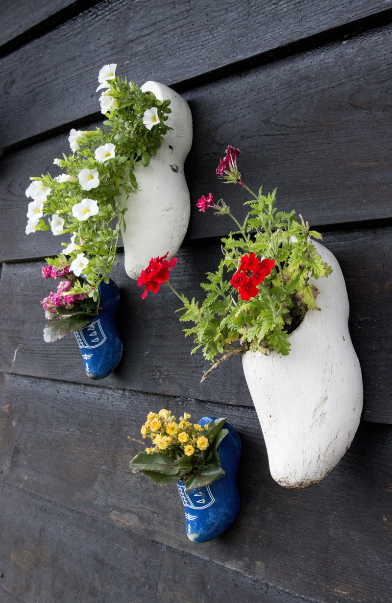 5K, freshness, garden shoe, amsterdam, clog, plant, fragility, flowerpot, growth, netherlands, inflorescence, flower head, wall, outdoors, traditionally