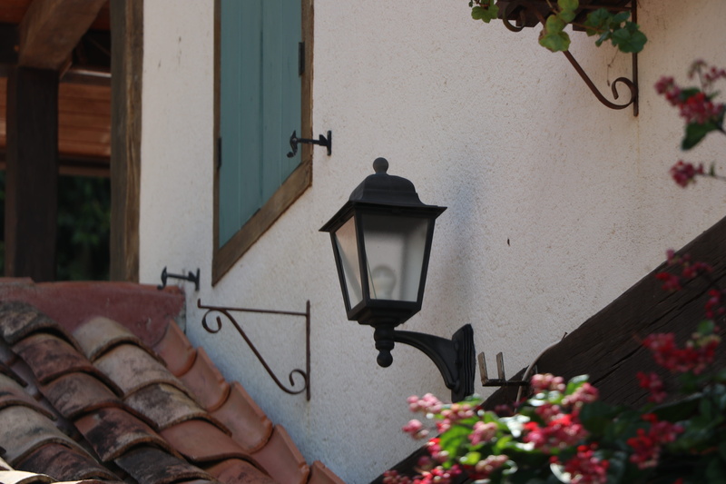 flower, plant, roof, growth, flower pot, house, lamp, 5K, potted plant, outdoors, apparel, building, flowering plant, footwear
