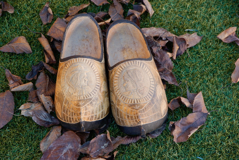 plant, clogs, peasant, plant part, brown, 4K, outdoors, growth, brittany, shoes, land, no people, grass, nature, field, day, pair, shoe, high angle view