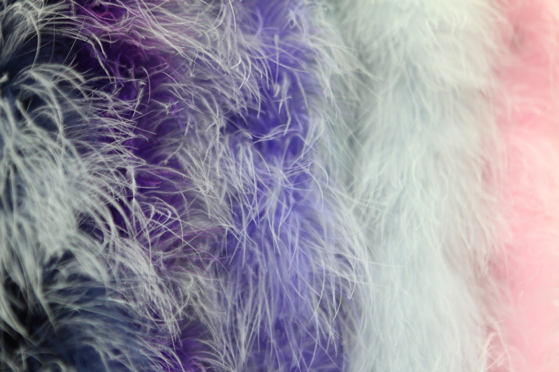 boa, textile, nature, purple, full frame, background image, close-up, fragility, feather, color, feathers, fur, no people, day, studio shot, softness, bird