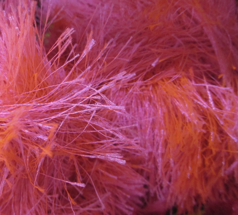 full frame, 2K, feathers, indoors, fragility, no people, still life, freshness, nature, orange, plant, seed, boa, selective focus, plumage, vulnerability
