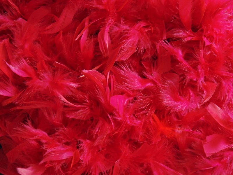 4K, feathers, nature, studio shot, red, pink color, macro, abstract, boa, background, petaled, food and drink, glamour, photography, dyed, backgrounds