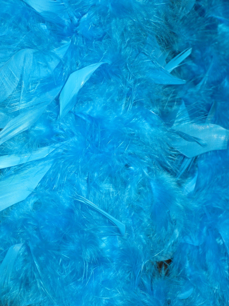 vertebrate, 2K, blue, nature, animal, transparent, abstract, day, large group of animals, Perlon, plastic bag, sea, no people, panel, Feather Boa, textured