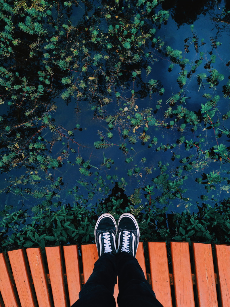 personal perspective, skool, human leg, one person, nature, sneakers, 4K, unrecognizable person, marsh, shoes, shoe, plant, standing, body, vans, reflection