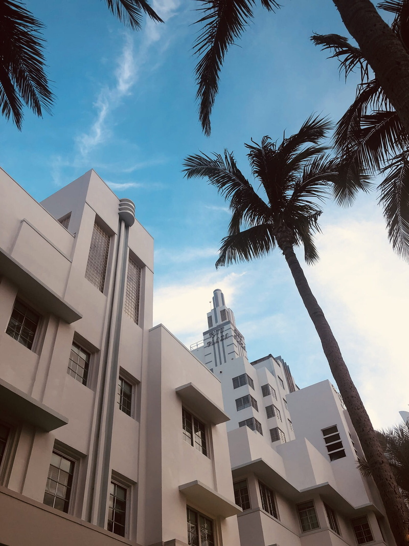 creme, palm tree city, building, plant, sky, day, building exterior, apartment, window, no people, 1080P, residential district, built structure, architecture