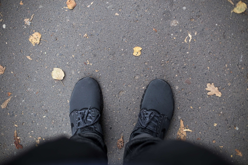 shoe, trainers, one person, leaf, autumn, personal perspective, gdansk, low section, human foot, day, janoski, poland, plant part, shoes, change, city