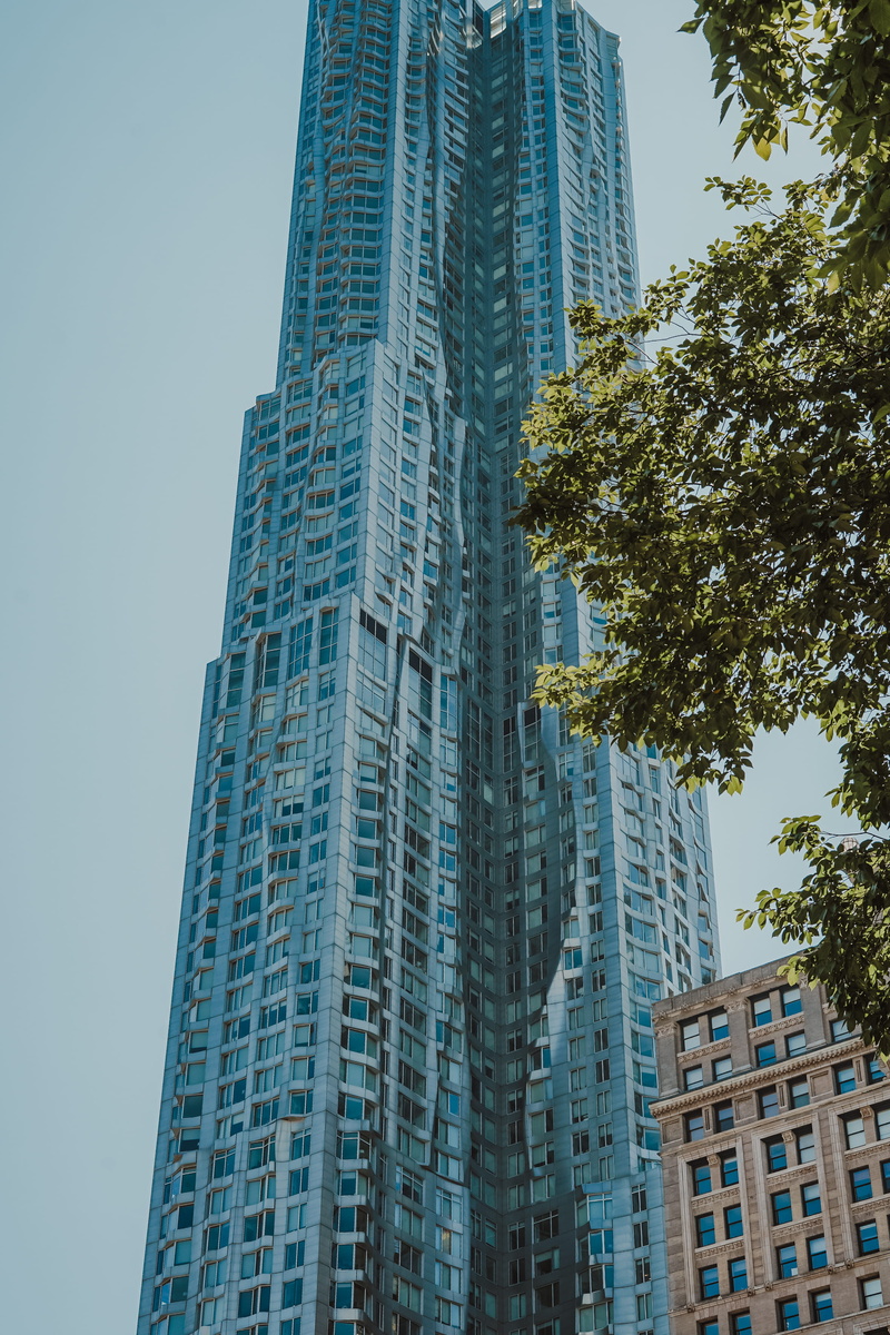 downtown, low, building, architecture, apartment, photo, built structure, curtain, vegetation, no people, modern, office building exterior, building exterior