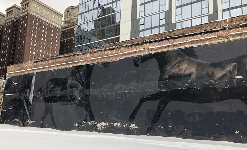 sunlight, city, nature, town, day, art, horses, handrail, banister, united states, window, mammal, chicago, animal, vehicle, building, water, high rise