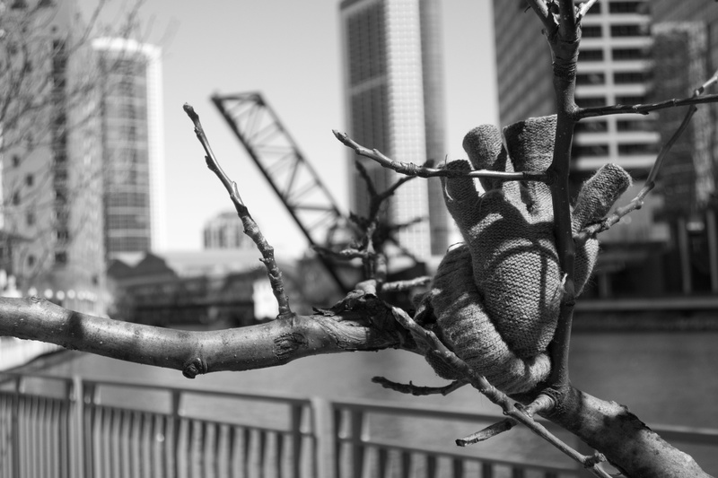 united, barrier, wooden, metal, 5K, usa, fence, downtown, rope, backdrop, glove, safety, states, urban, midwest, bridge, river, exterior, tree, outdoors