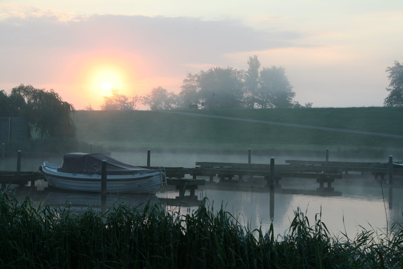 Boot, moored, sky, Skies, fog, tranquility, mode of transportation, plant, sun, water, scenics - nature, tranquil scene, outdoors, nature, no people, sunset