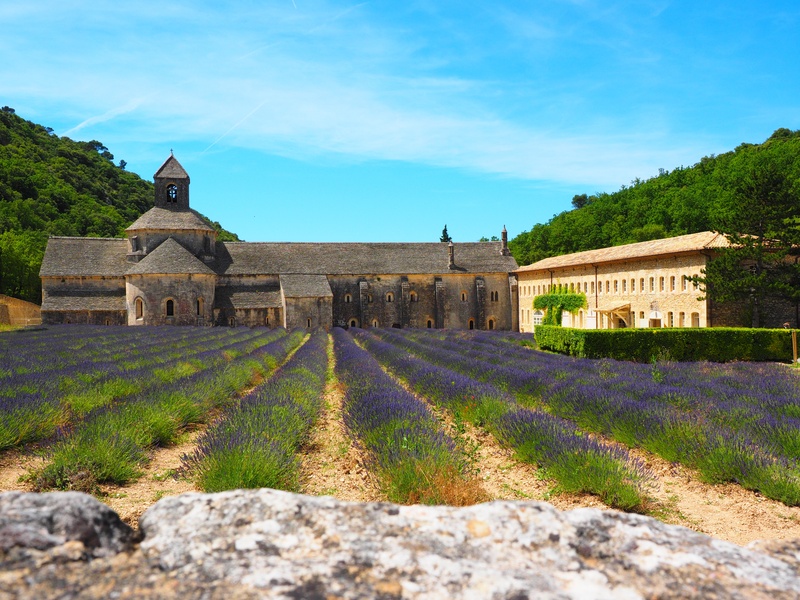 lavendula, wildblue, flora, scented plant, sky, church, lavandula officinalis, building, department of vaucluse, garden flowers, homeopathy, lavender meadow