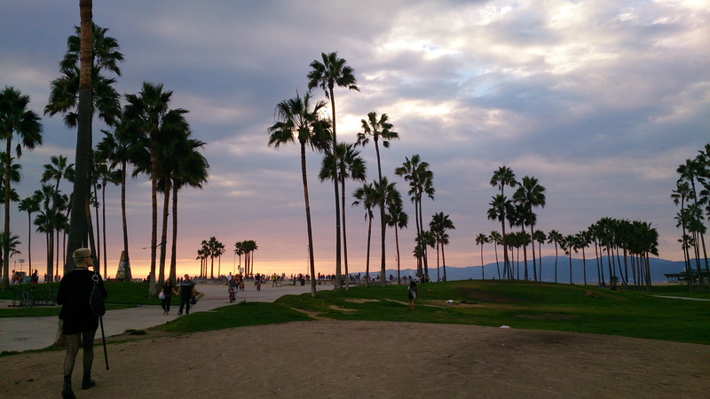 men, grass, outdoors, venice, los angeles, water, palm trees, sky, united states, leisure activity, land, plant, palm tree, beauty in nature, 4K, tropical climate