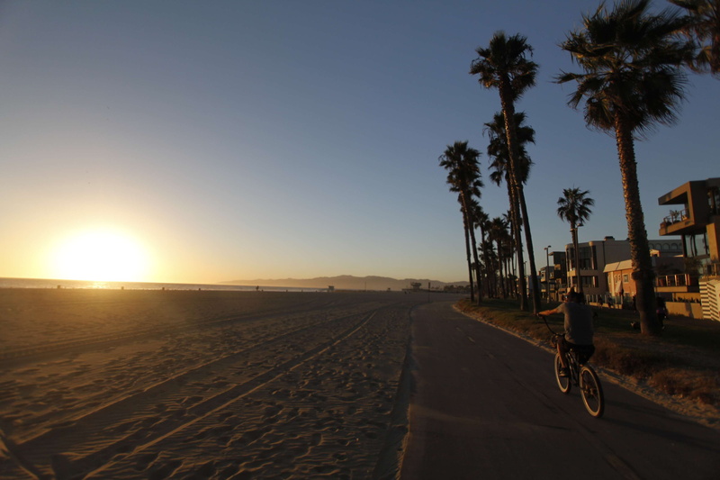 the way forward, sky, tree, 4K, clear sky, scenics - nature, sun, sunset, nature, road, beach, palm trees, palm tree, transportation, land, sunlight, venice
