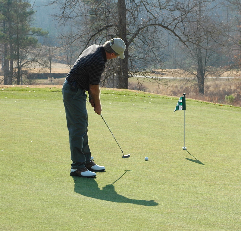 hole, male, golfing, leisure Games, active, Green, day, action, recreational, recreational Pursuit, green - golf course, grass, Golf, people, golf Ball