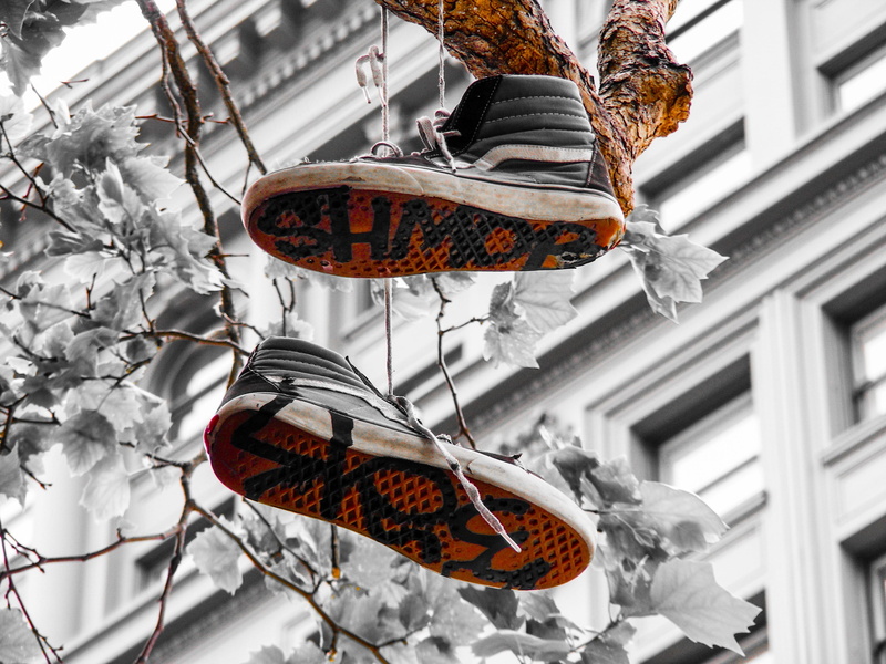 hanged, shoe, branch, animals in the wild, san francisco, black, hanging, decoration, athletic sports, day, vertebrate, exercise, nature, animal, built structure