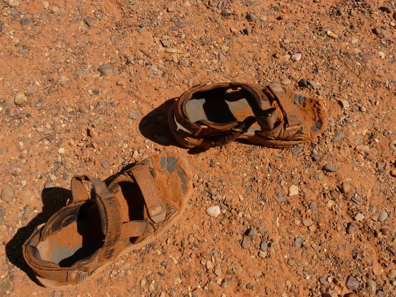 compatibility, abandoned, animal themes, shadow, day, beach, animal wildlife, Foot, outdoors, high angle view, damaged, land, rusty, Shoes, Sandals, brown