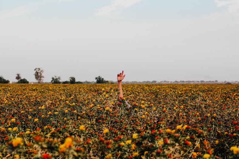 canon, growth, land, heaven, one person, arm, human arm, raising, help, person, standing, grass, beauty in nature, yellow, reach, right, girl, red, tranquil scene