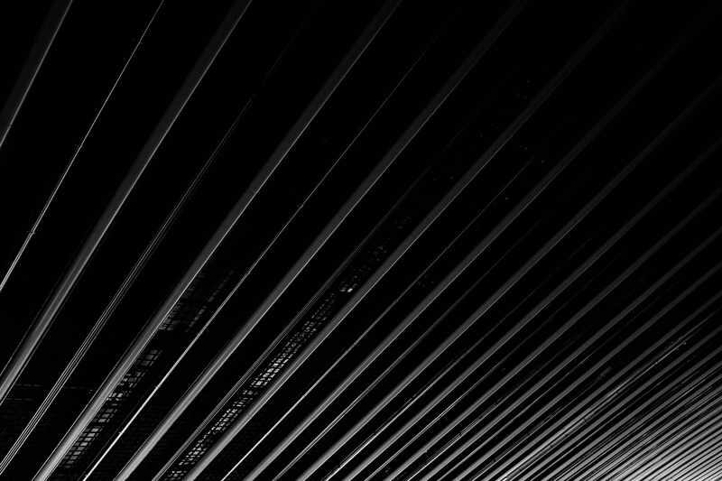 text, backgrounds, texture, softball, palm leaf, beauty in nature, wire, sports, symbol, black background, arrow, sport, metal, close-up, nature, ornament