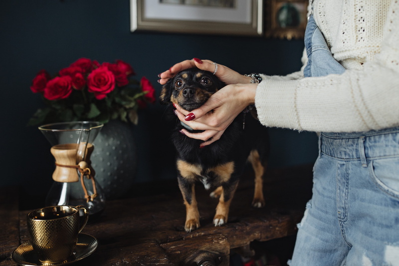 young, 5K, friendship, women, pets, domestic, household equipment, one person, drink, midsection, refreshment, enjoying, playing, jeans, mammal, chemex